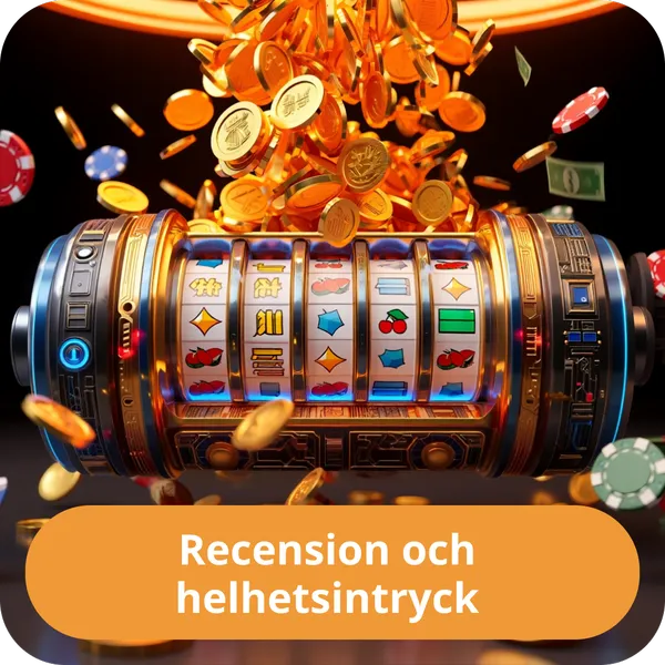 Recension och helhetsintryck